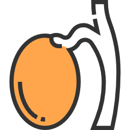 criptorquidia en niños