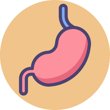 Historia clínica detallada y centrada en síntomas gastrointestinales